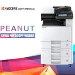 SEWA FOTOCOPY WARNA PEANUT